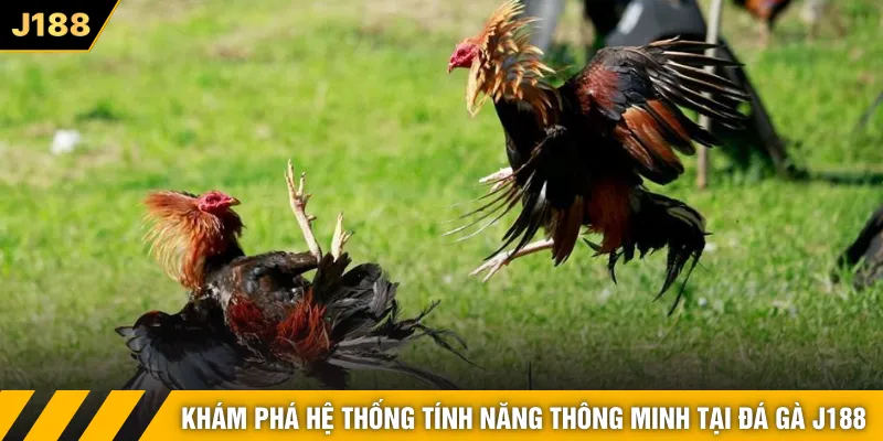 Khám phá hệ thống tính năng thông minh tại đá gà J188